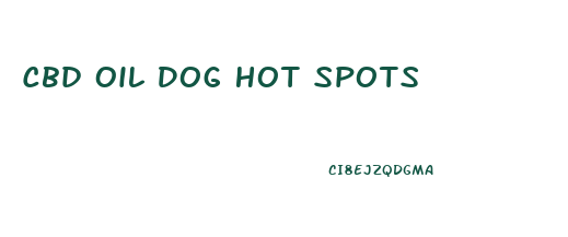 Cbd Oil Dog Hot Spots