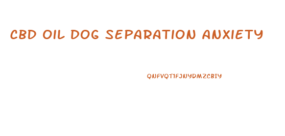 Cbd Oil Dog Separation Anxiety