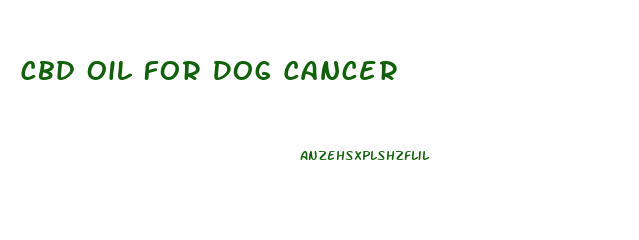 Cbd Oil For Dog Cancer