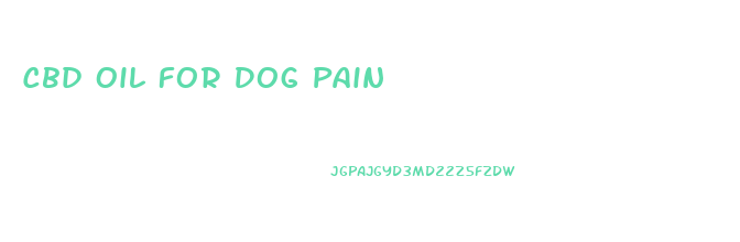 Cbd Oil For Dog Pain