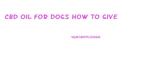 Cbd Oil For Dogs How To Give