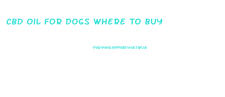 Cbd Oil For Dogs Where To Buy