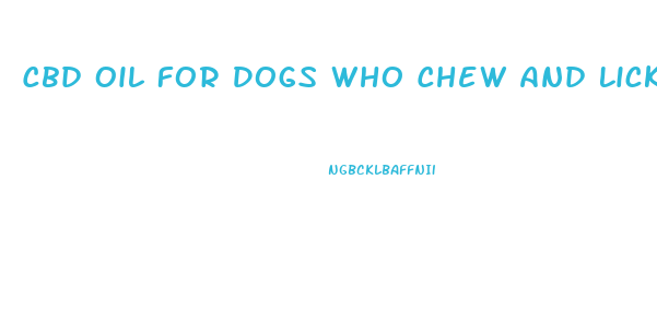 Cbd Oil For Dogs Who Chew And Lick Paws