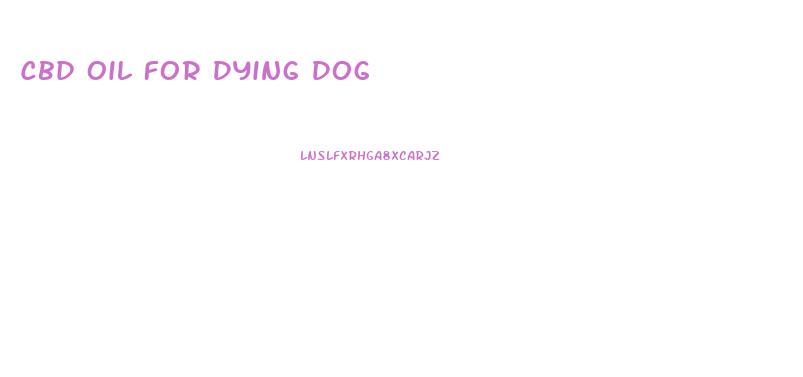 Cbd Oil For Dying Dog