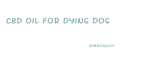 Cbd Oil For Dying Dog