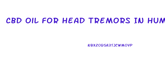 Cbd Oil For Head Tremors In Humans