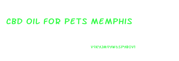 Cbd Oil For Pets Memphis