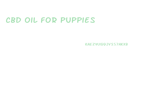 Cbd Oil For Puppies