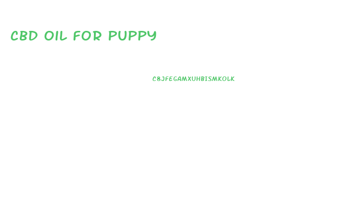 Cbd Oil For Puppy