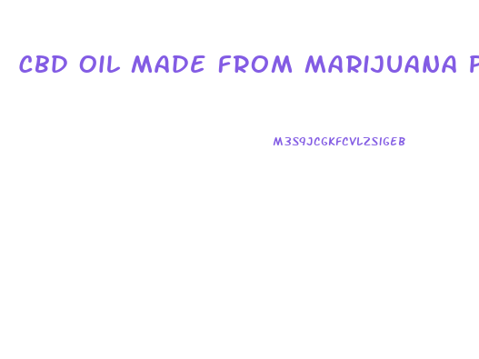 Cbd Oil Made From Marijuana Plant Where Can I Buy
