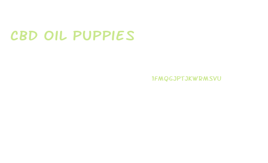 Cbd Oil Puppies