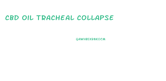 Cbd Oil Tracheal Collapse