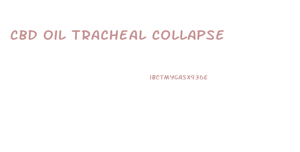 Cbd Oil Tracheal Collapse