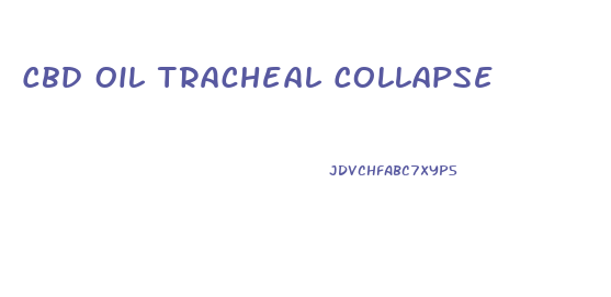 Cbd Oil Tracheal Collapse