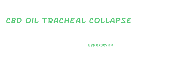 Cbd Oil Tracheal Collapse