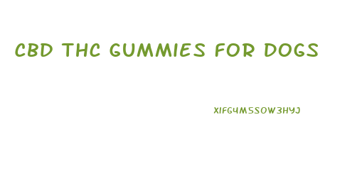 Cbd Thc Gummies For Dogs