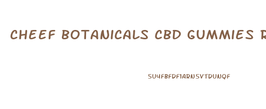 Cheef Botanicals Cbd Gummies Review