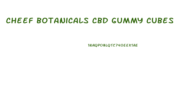 Cheef Botanicals Cbd Gummy Cubes