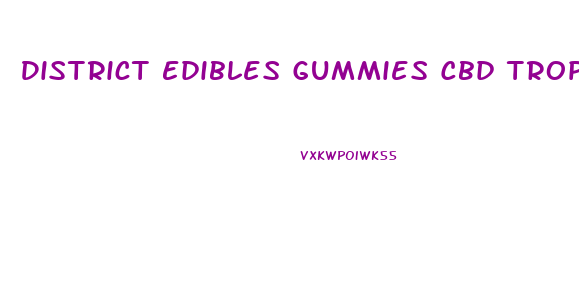 District Edibles Gummies Cbd Tropical Punch 1 1 Review