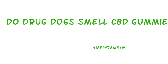 Do Drug Dogs Smell Cbd Gummies