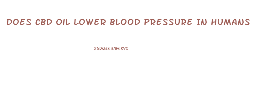 Does Cbd Oil Lower Blood Pressure In Humans