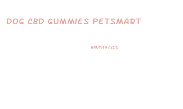 Dog Cbd Gummies Petsmart