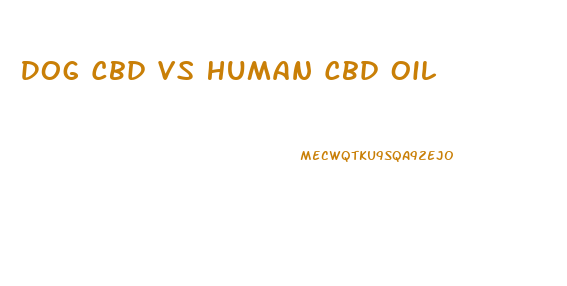 Dog Cbd Vs Human Cbd Oil
