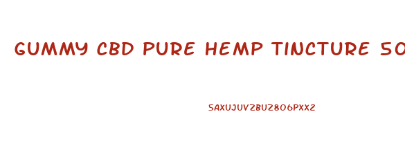 Gummy Cbd Pure Hemp Tincture 500 Mg 30 Ml