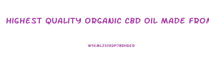 Highest Quality Organic Cbd Oil Made From What