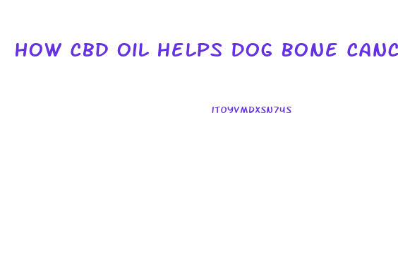 How Cbd Oil Helps Dog Bone Cancer