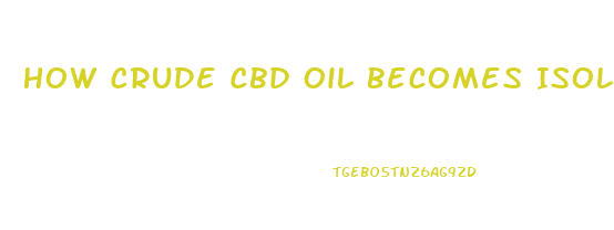How Crude Cbd Oil Becomes Isolate Flow Chart