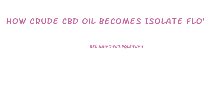 How Crude Cbd Oil Becomes Isolate Flow Chart