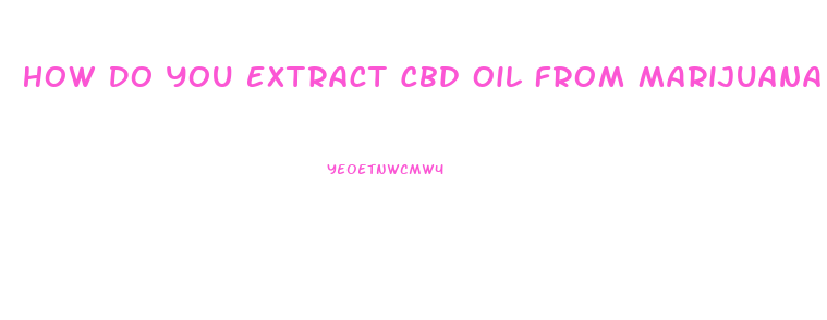 How Do You Extract Cbd Oil From Marijuana