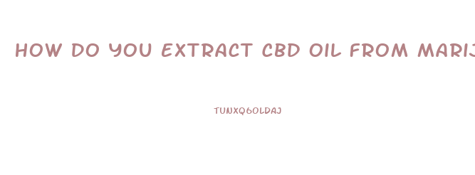 How Do You Extract Cbd Oil From Marijuana