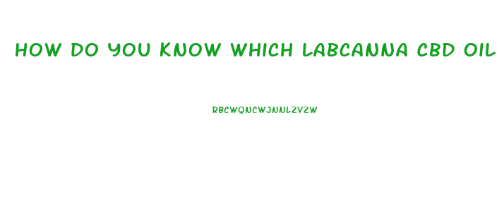 How Do You Know Which Labcanna Cbd Oil Is Right For You