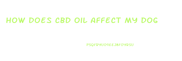 How Does Cbd Oil Affect My Dog