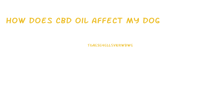 How Does Cbd Oil Affect My Dog