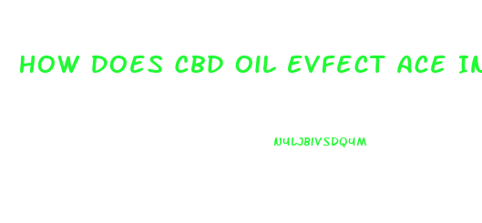 How Does Cbd Oil Evfect Ace Inhibitors