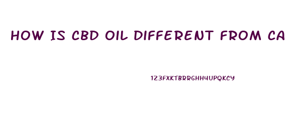 How Is Cbd Oil Different From Cannabis Oil