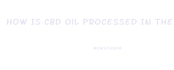 How Is Cbd Oil Processed In The Body