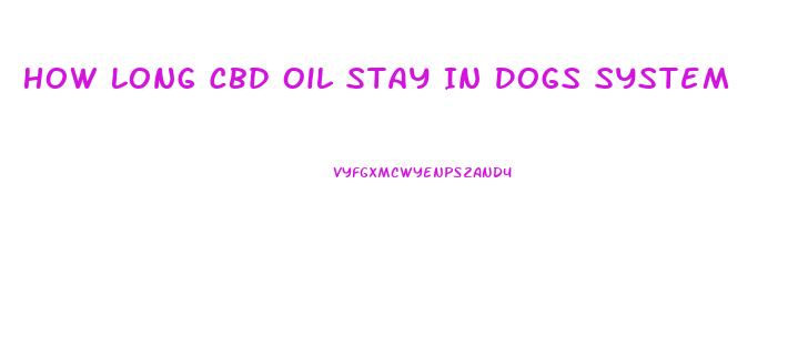 How Long Cbd Oil Stay In Dogs System