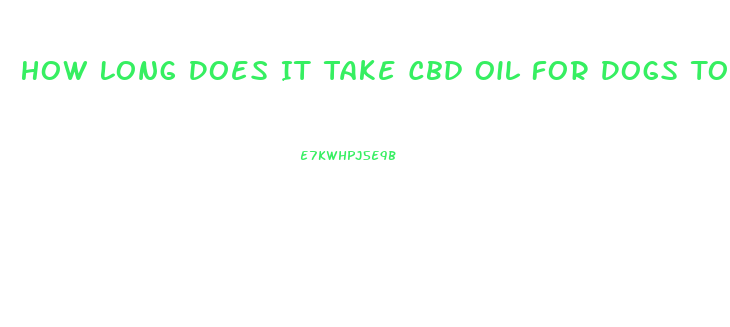 How Long Does It Take Cbd Oil For Dogs To Work