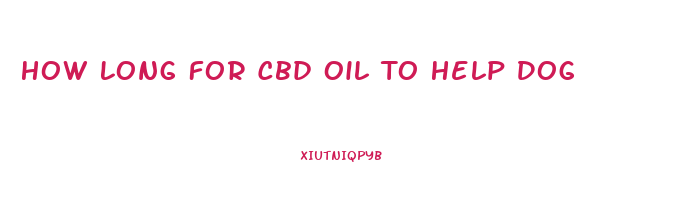 How Long For Cbd Oil To Help Dog