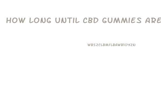 How Long Until Cbd Gummies Are Out Of Your System