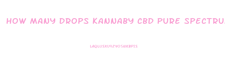 How Many Drops Kannaby Cbd Pure Spectrum Hemp Oil Should Use Take