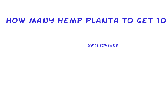 How Many Hemp Planta To Get 100ml Cbd Oil