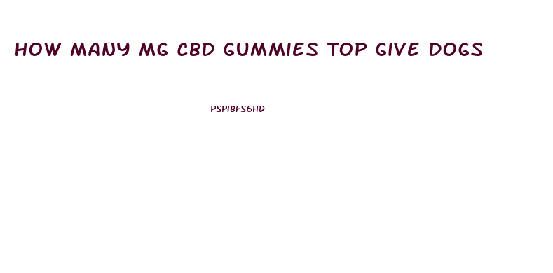 How Many Mg Cbd Gummies Top Give Dogs