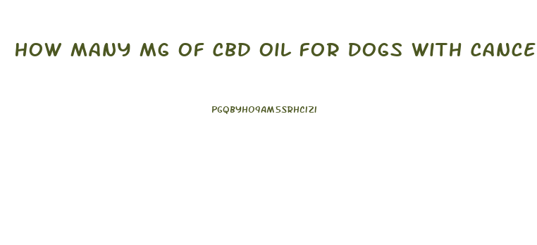 How Many Mg Of Cbd Oil For Dogs With Cancer