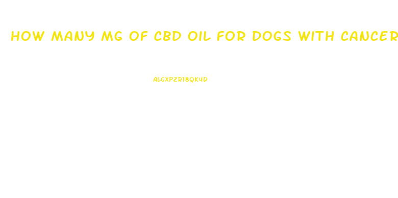 How Many Mg Of Cbd Oil For Dogs With Cancer