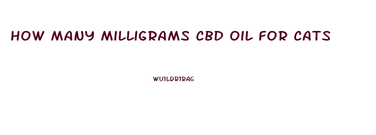How Many Milligrams Cbd Oil For Cats